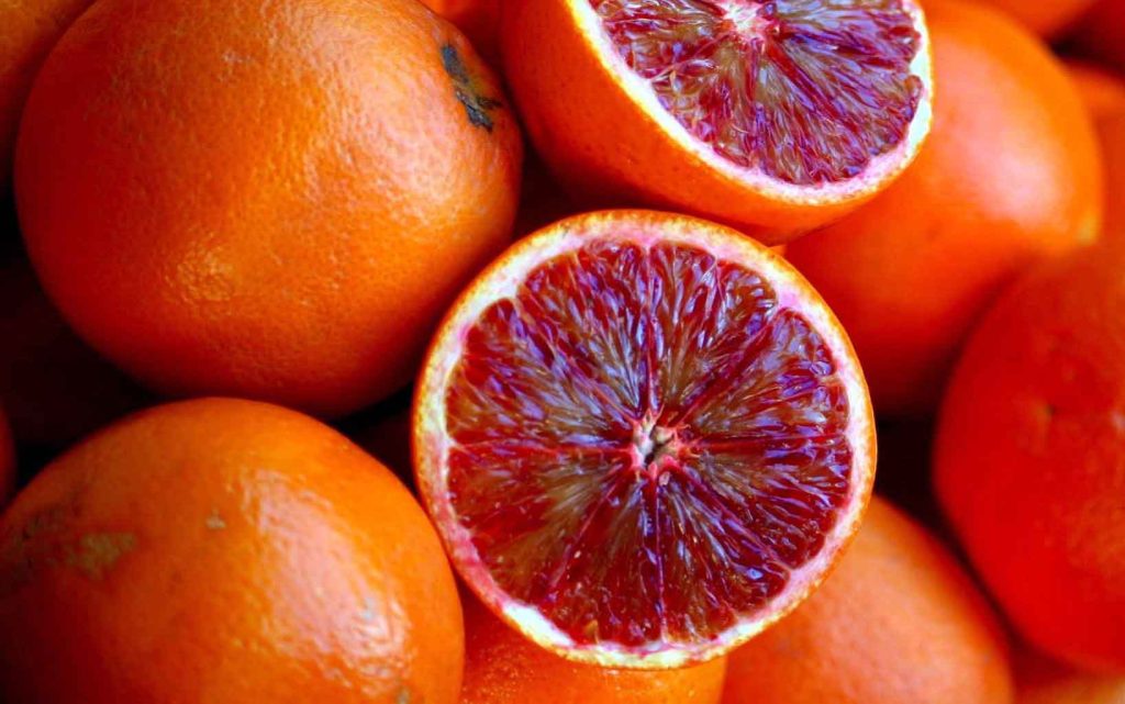 Guide to citrus cold storage in Iran